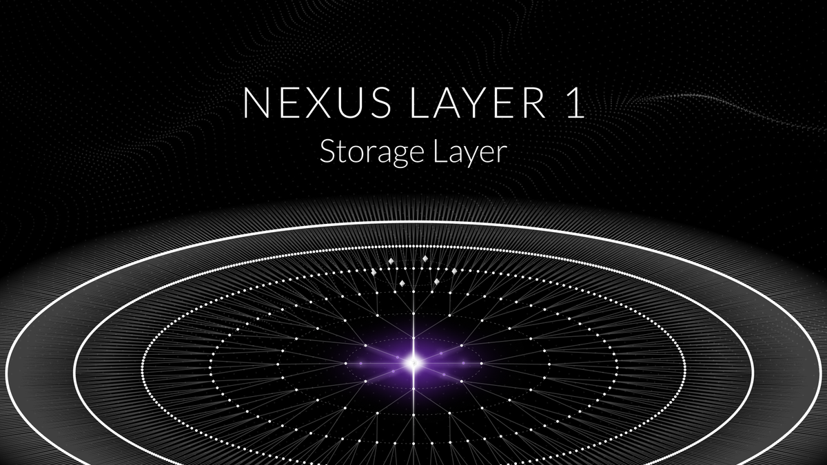 Nexus Layer 1 blockchain architecture diagram highlighting zkVM integration with DEX for verifiable finance and perpetuals trading