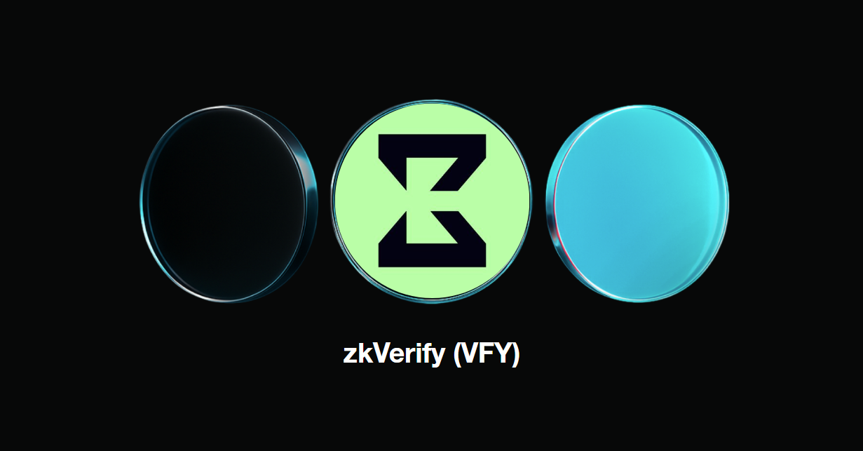 zkVerify zero-knowledge proof verification network